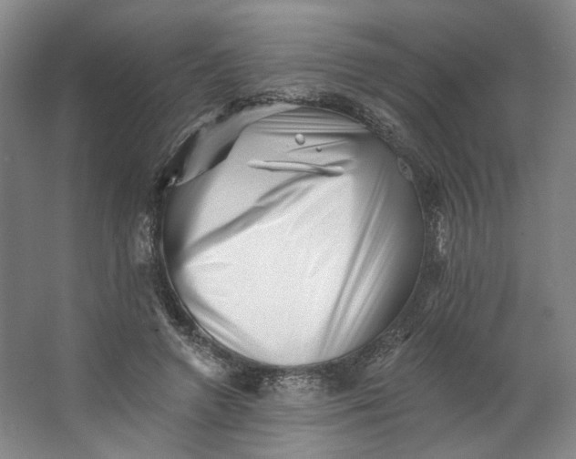 X0000062790546200601051048