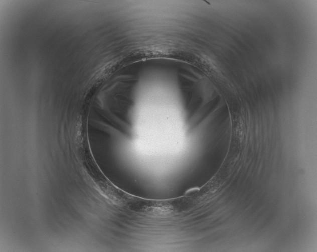 X0000062790548200601051048