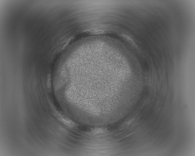 X0000062790549200601051048