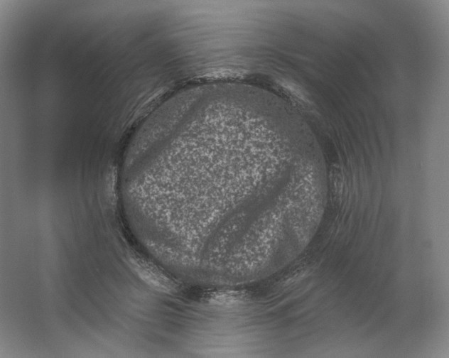 X0000062790550200601051048