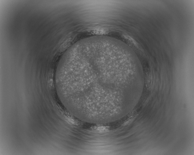 X0000062790553200601051048