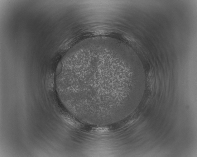 X0000062790554200601051048