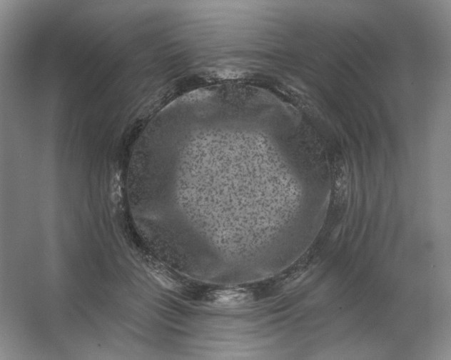 X0000062790555200601051048