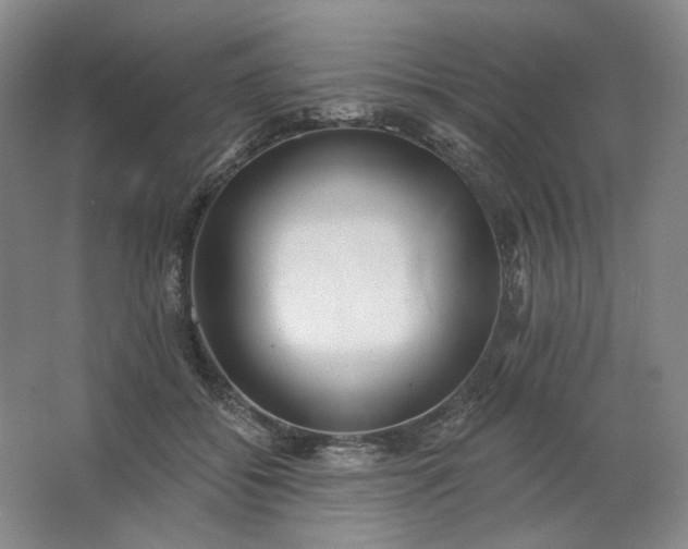 X0000062790556200601051048