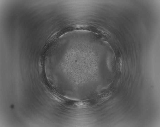 X0000062790558200601051048