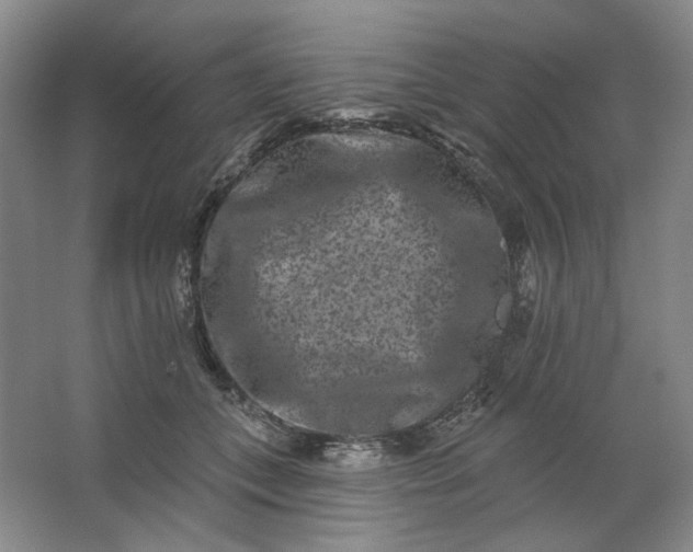 X0000062790559200601051048