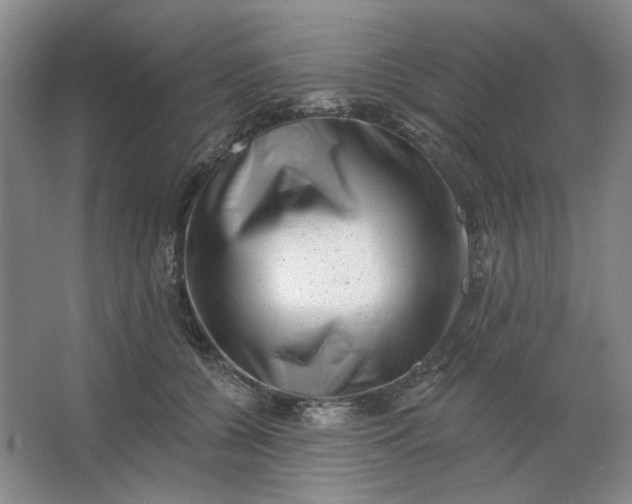 X0000062790560200601051048