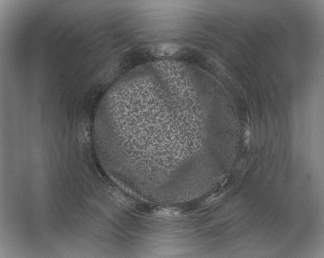 X0000062790561200601051048