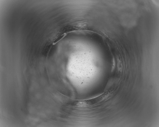 X0000062790562200601051048