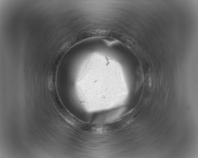 X0000062790564200601051048