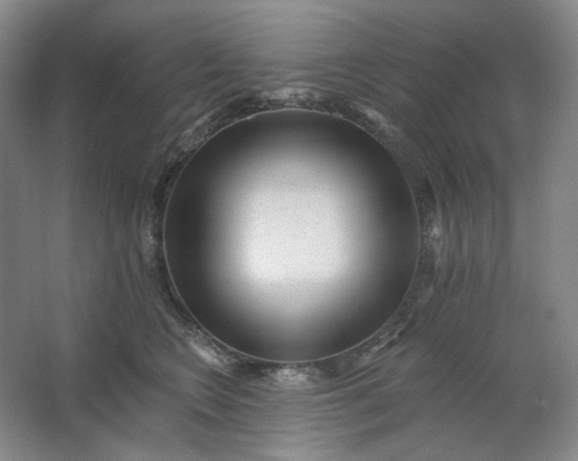 X0000062790566200601051049