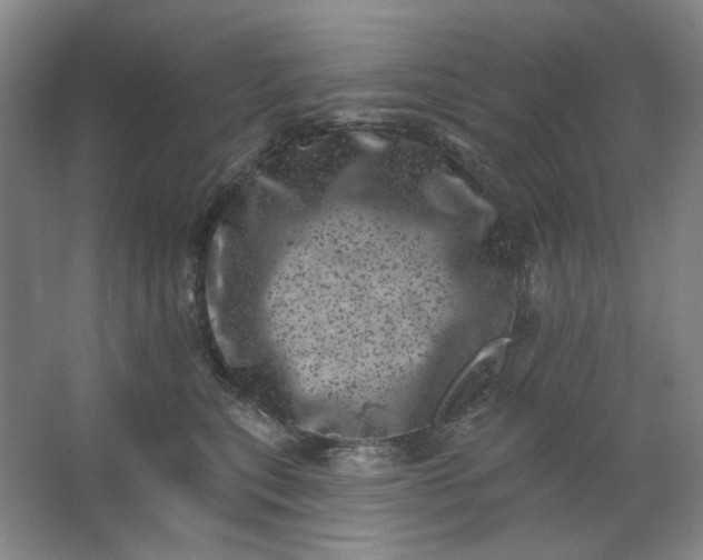 X0000062790567200601051049