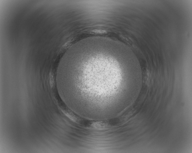 X0000062790568200601051049