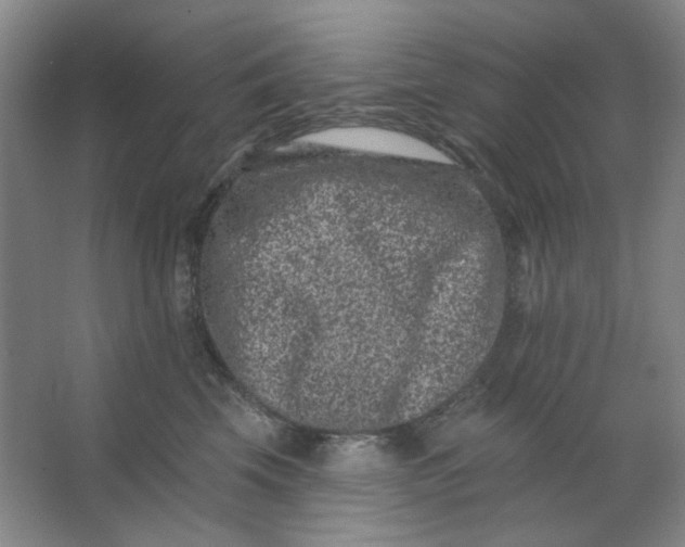 X0000062790569200601051049