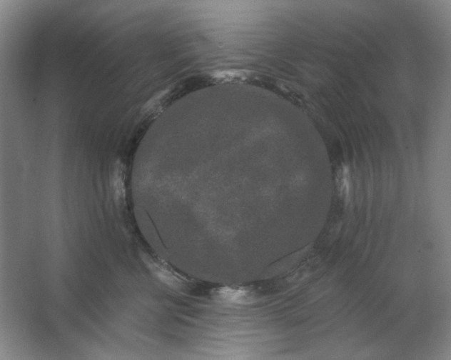 X0000062790570200601051049