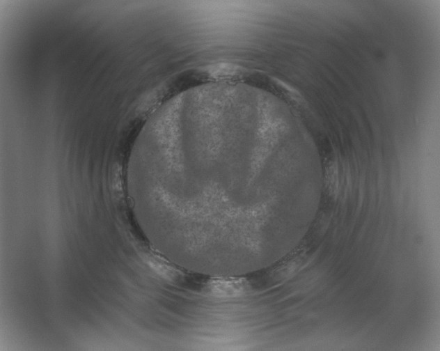 X0000062790571200601051049