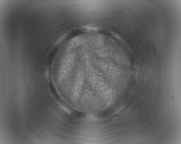 X0000062790573200601051049