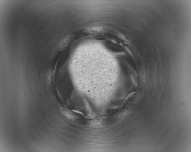 X0000062790574200601051049