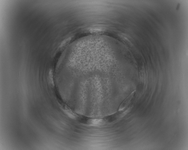 X0000062790575200601051049