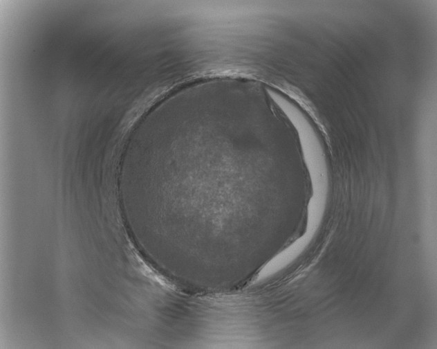 X0000062790577200601051048