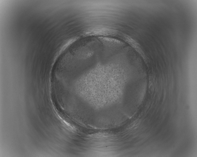 X0000062790578200601051048