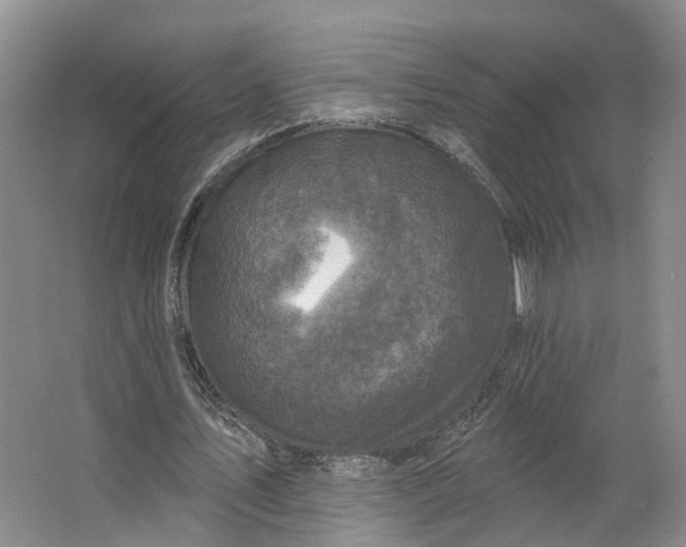 X0000062790579200601051048