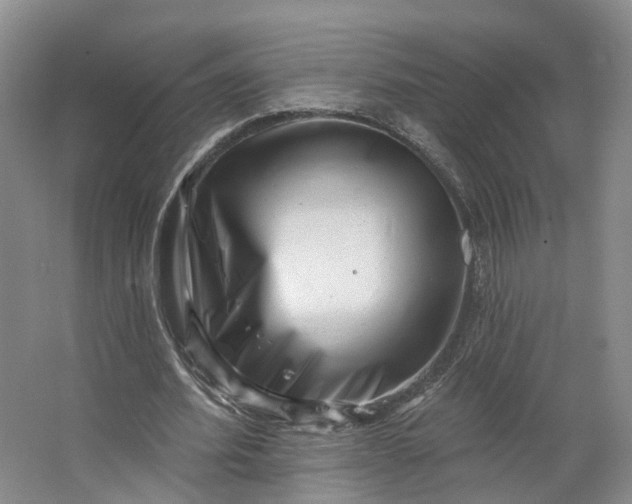 X0000062790580200601051048