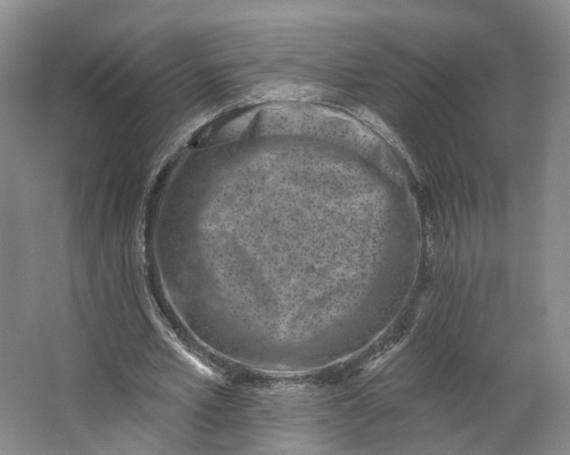 X0000062790581200601051048