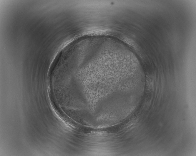 X0000062790582200601051048