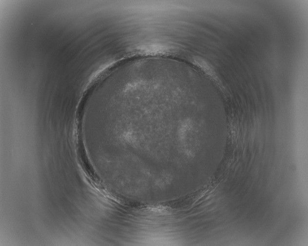 X0000062790583200601051048