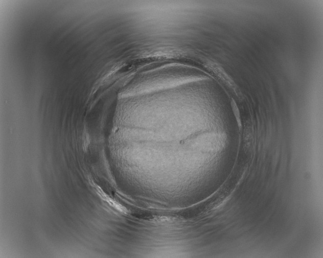 X0000062790585200601051048