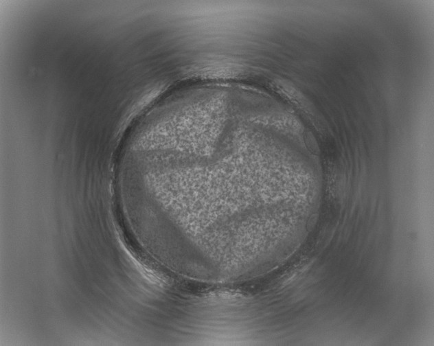 X0000062790586200601051048