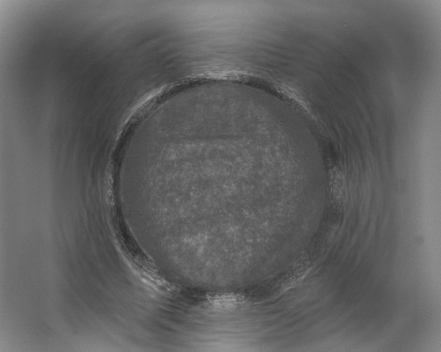 X0000062790587200601051048