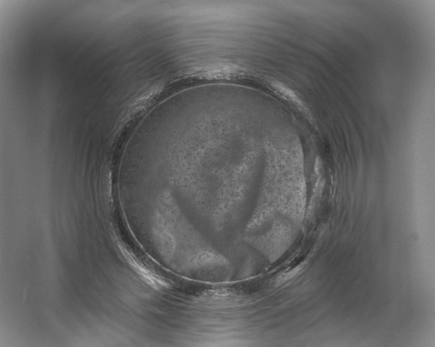 X0000062790589200601051048