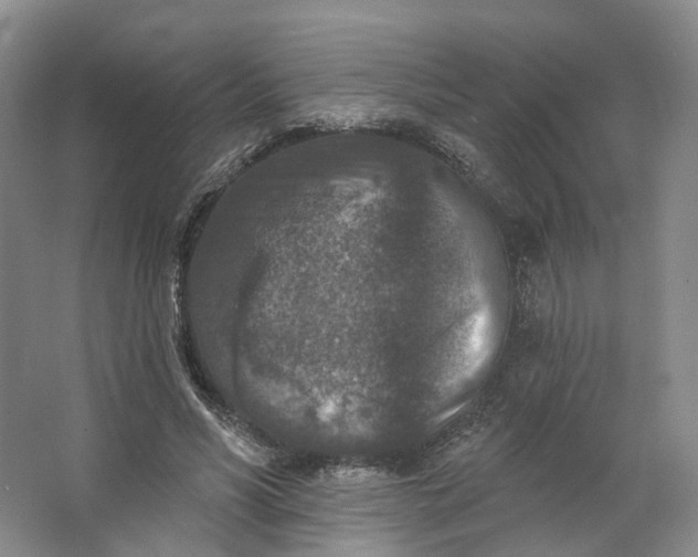 X0000062790590200601051048