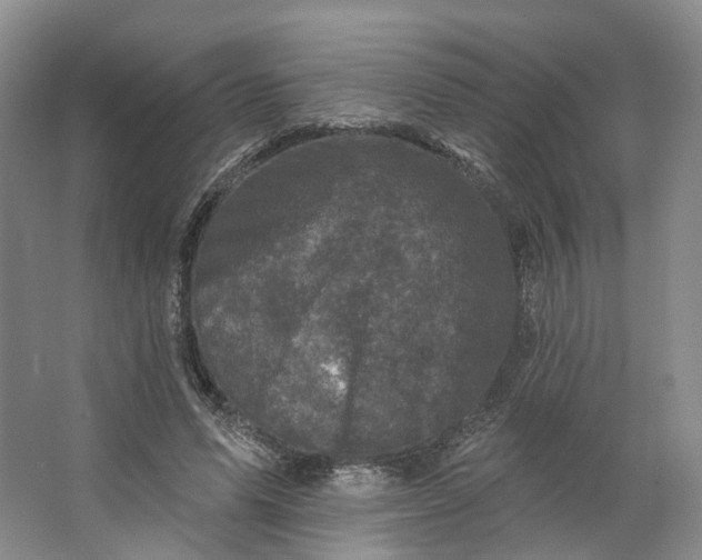 X0000062790591200601051048