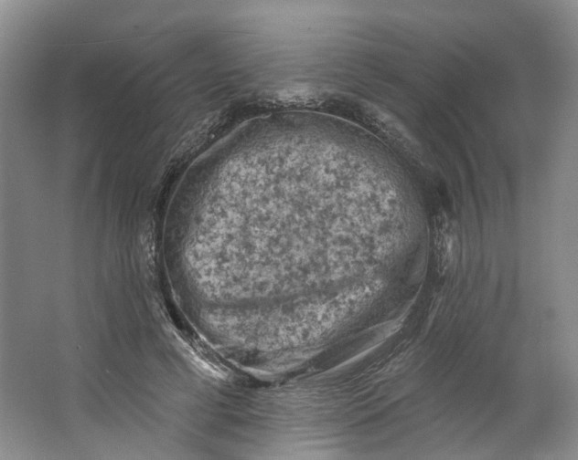 X0000062790593200601051048