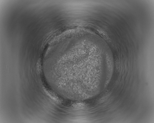 X0000062790594200601051048