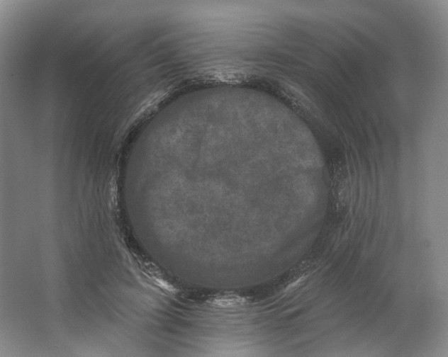 X0000062790595200601051048