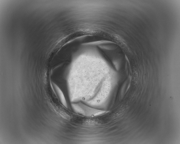 X0000062790596200601051048