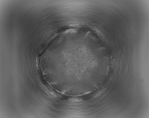 X0000062790597200601051048