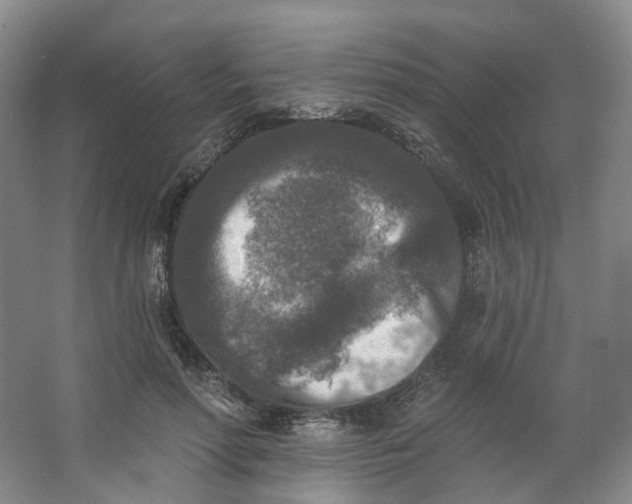 X0000062790598200601051048