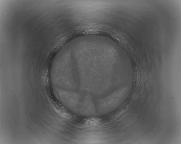 X0000062790599200601051048