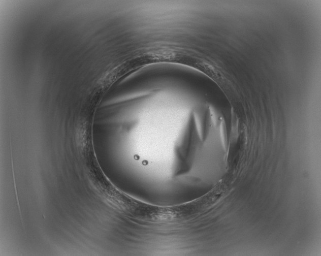 X0000062790600200601051047