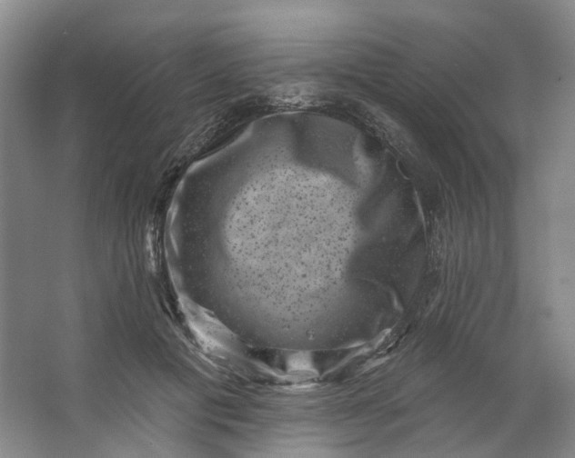 X0000062790601200601051047