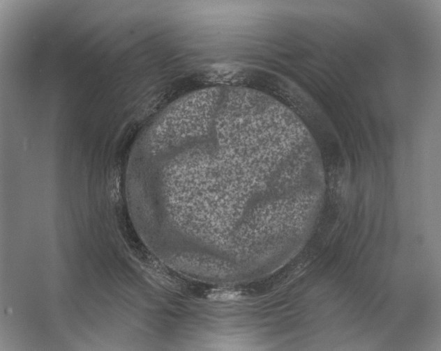 X0000062790602200601051047