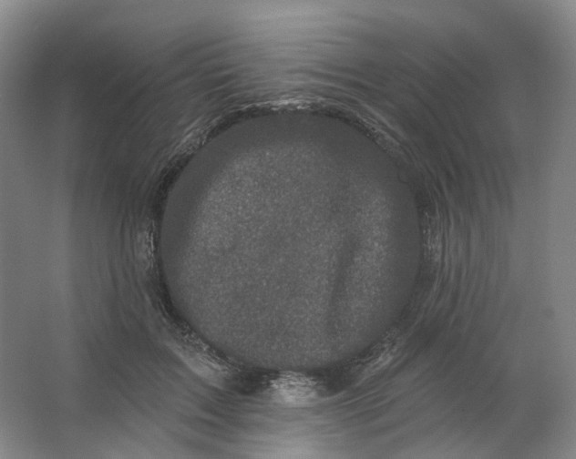 X0000062790603200601051047