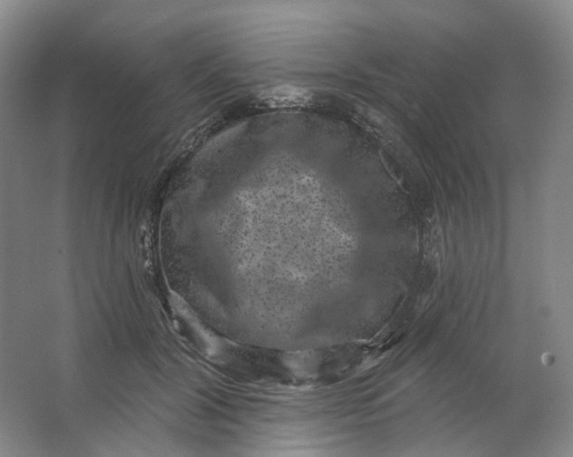 X0000062790604200601051047