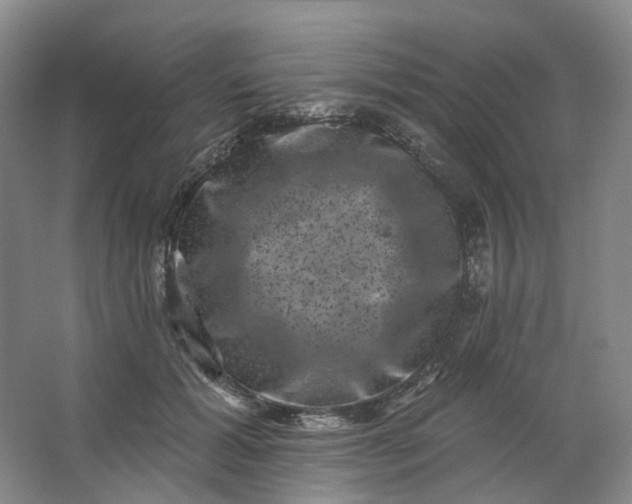 X0000062790605200601051047