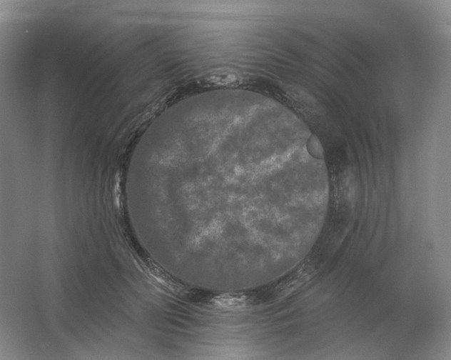 X0000062790606200601051047